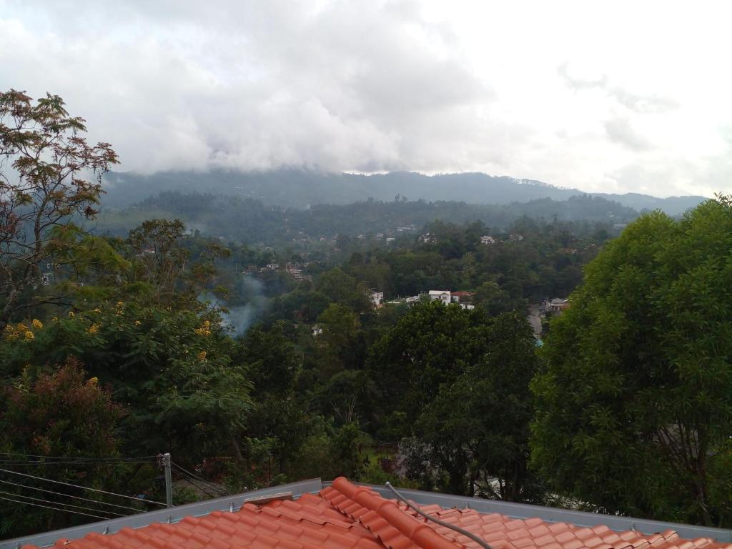 a view of a valley with trees and mountains at Mountain View in Bandarawela