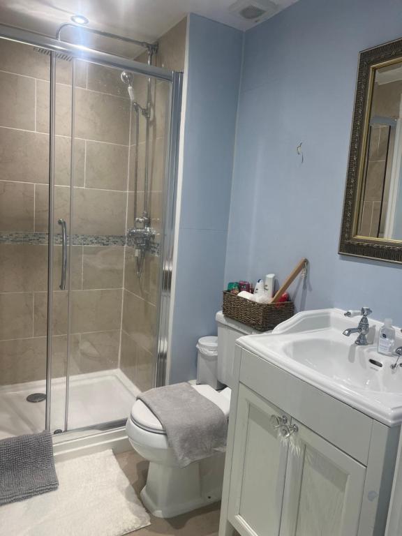 Highcroft House في كورشام: حمام مع دش ومرحاض ومغسلة