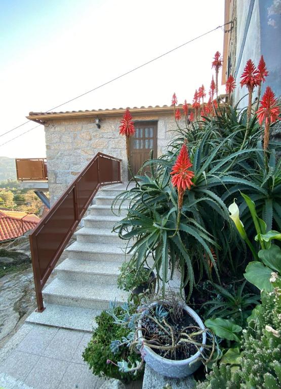 eine Treppe, die zu einem Haus mit Blumen und Pflanzen führt in der Unterkunft CasaBruno in Arcos de Valdevez