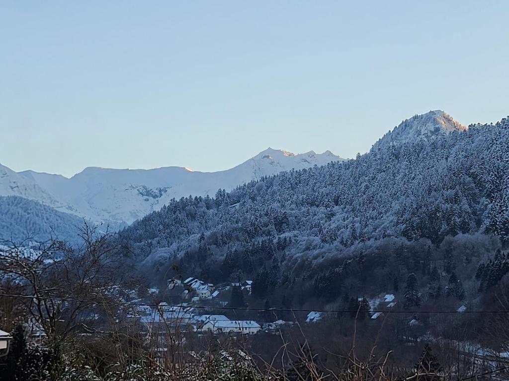 Príroda v okolí dovolenkového domu
