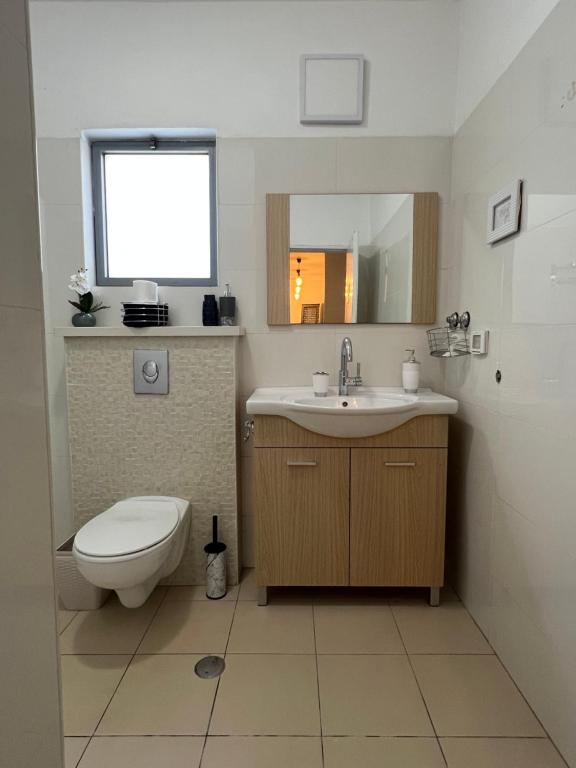 uma casa de banho com um WC, um lavatório e um espelho. em דירת גן מדרך עוז Garden Apartment em Midrakh ‘Oz
