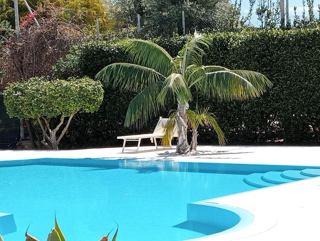 una palma e una sedia accanto alla piscina di Hotel Aria di Mare a Marina di Ragusa