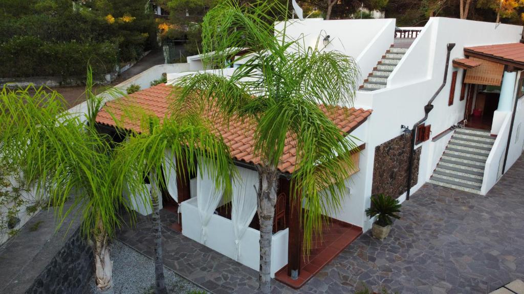 une maison avec un palmier en face dans l'établissement Villa Crimi, à Vulcano