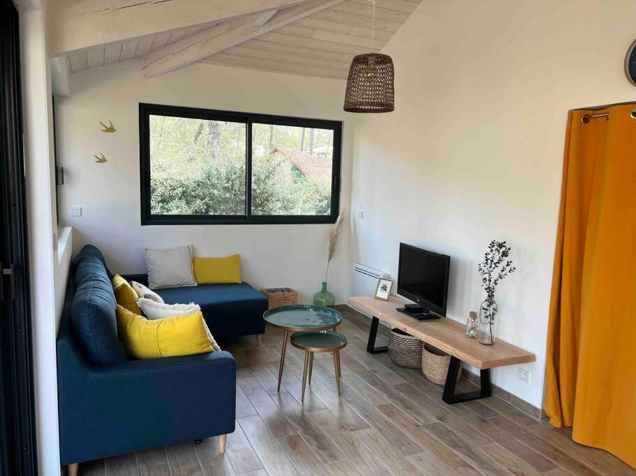 un salon avec un canapé bleu et une table dans l'établissement Maison au calme sous les pins, à Moliets-et-Maa