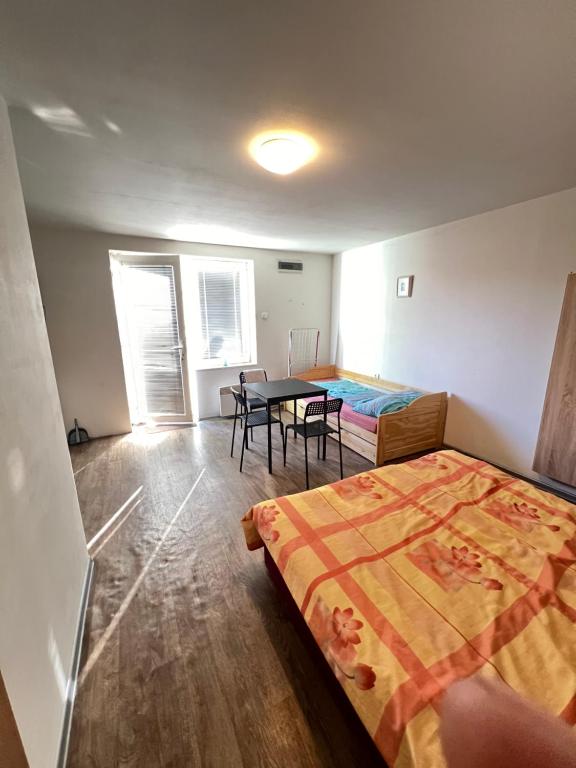 Ubytování Sýkora Apartments - Apartamento Con Terraza