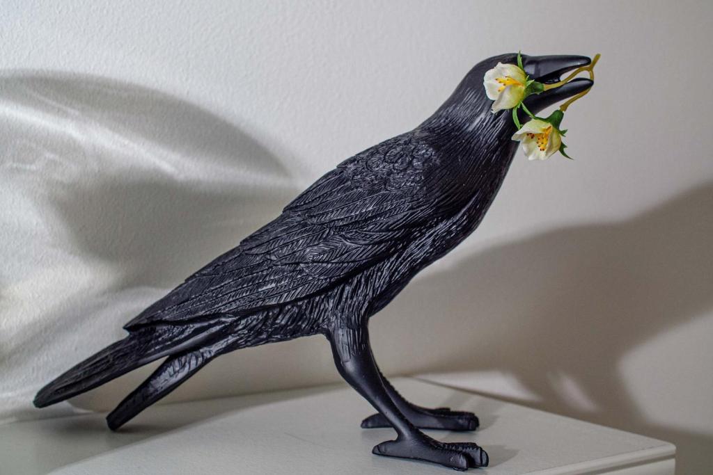 a black bird with a flower in its mouth at Pine House - Faro Airport, Beach and City Center in Faro