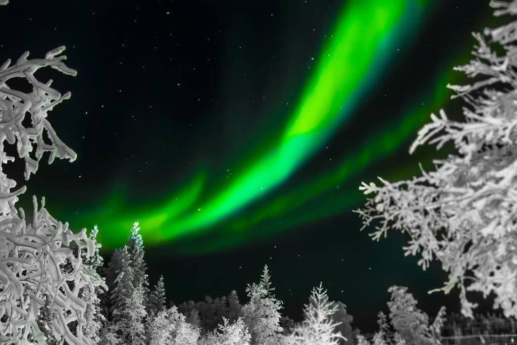 an aurora dances in the sky over trees at Studio by the river Ivalo in Ivalo