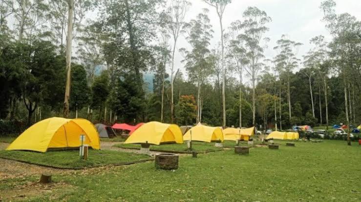 Zahrada ubytování Wong Deso Camping