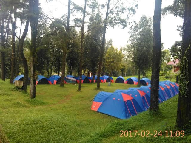 Zahrada ubytování Wong Deso Camping
