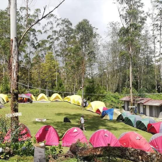 Zahrada ubytování Wong Deso Camping