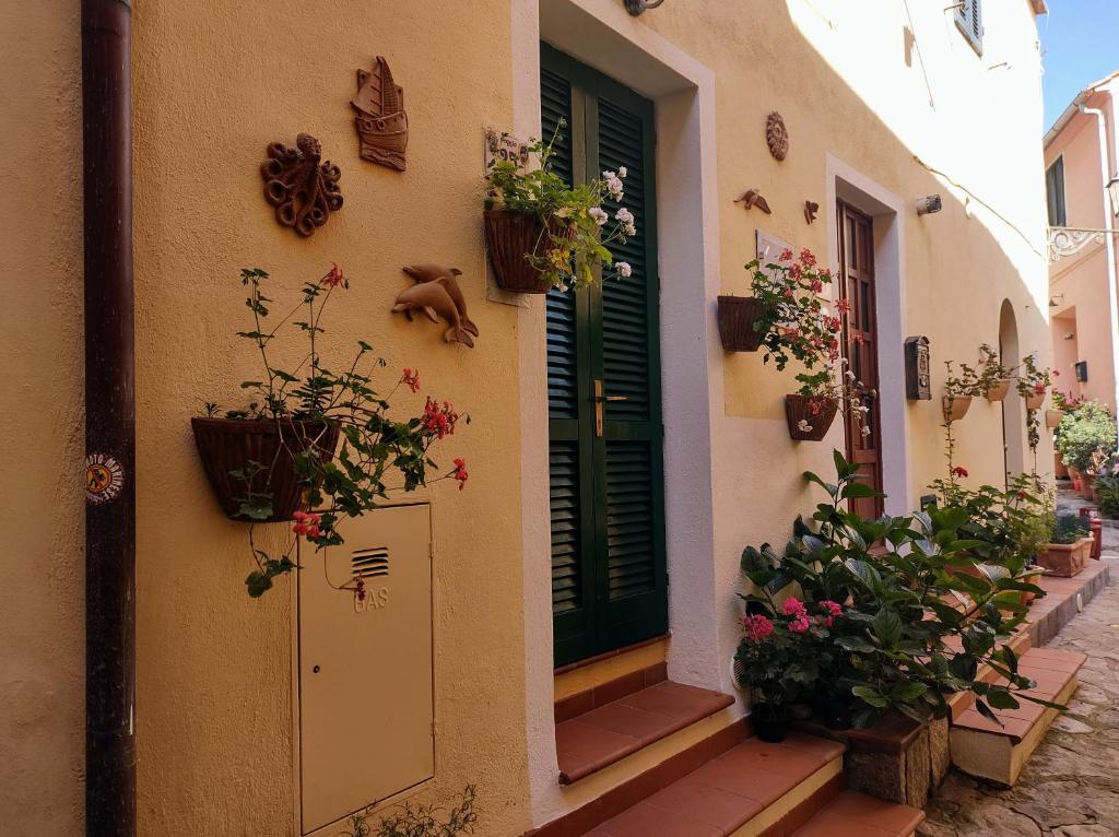 un edificio con macetas al costado. en Monolocale Poggio, en Marciana