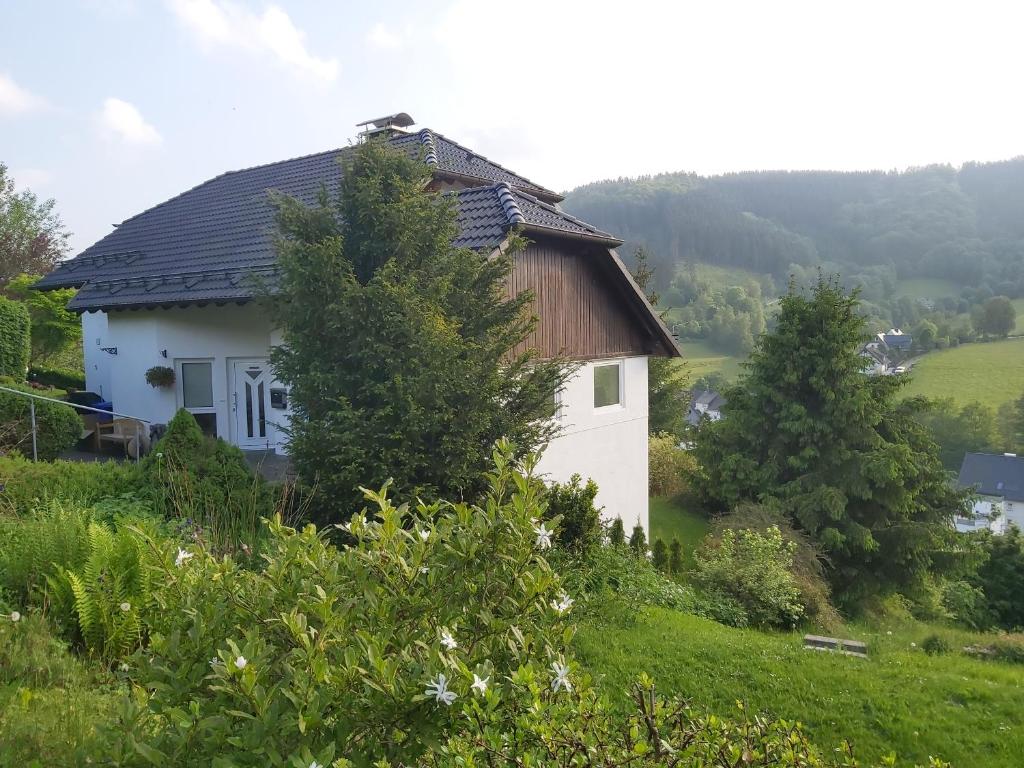 mały biały dom na wzgórzu z drzewami w obiekcie FeWo Elpetalblick w mieście Olsberg