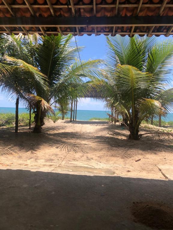 deux palmiers sur une plage près de l'océan dans l'établissement Casa em Ilha da Crôa - AL, à Barra de Santo Antônio