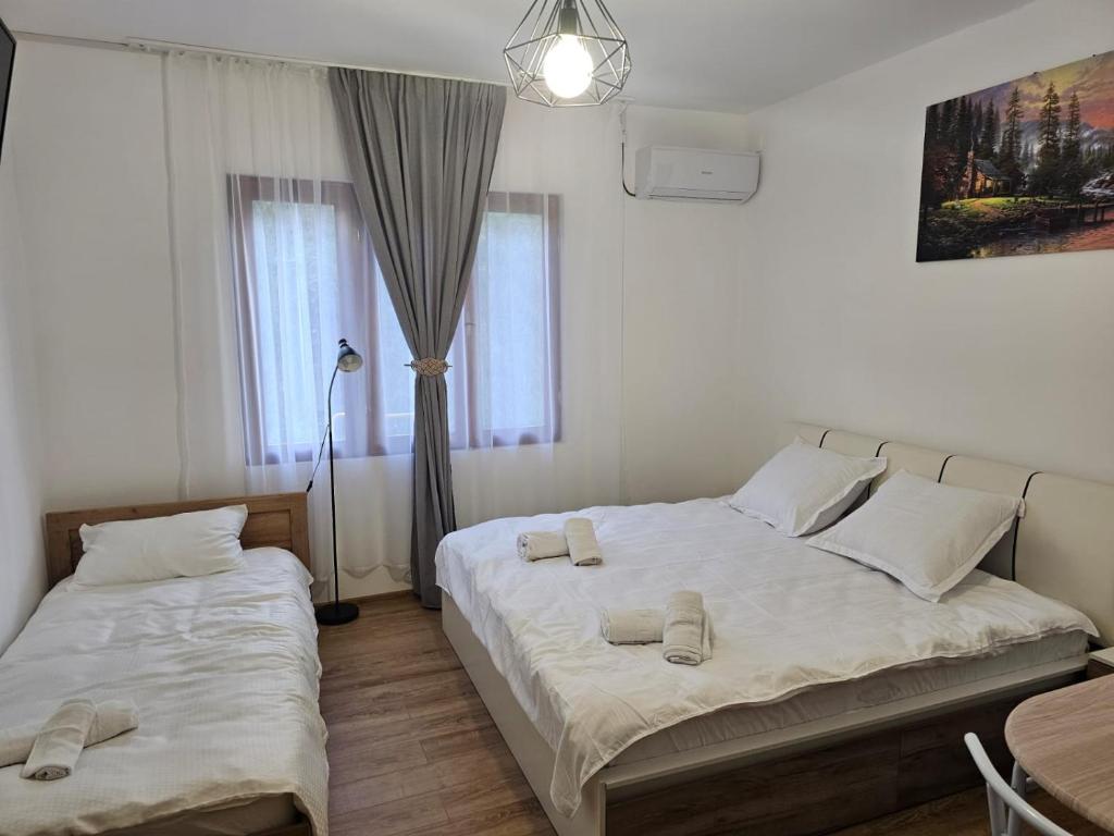 een slaapkamer met 2 bedden en een lamp bij Casa Dragoste in Someşu Cald