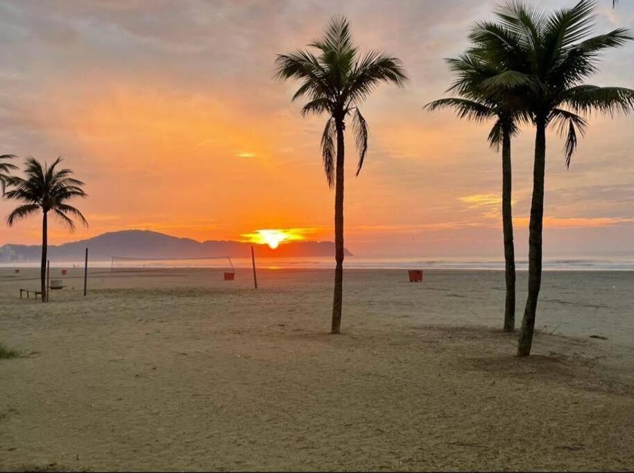 deux palmiers sur une plage avec un coucher de soleil dans l'établissement Apartamento Praia Grande Aviação 50m praia, à Praia Grande