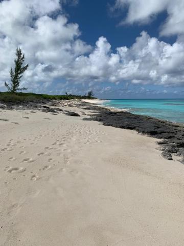 a beach with footprints in the sand and the ocean at San Salvador Luxury Direct Beach Front Apartment 2 bedroom 1 bath full kitchenin San Salvador, Bahamas in Cockburn Town
