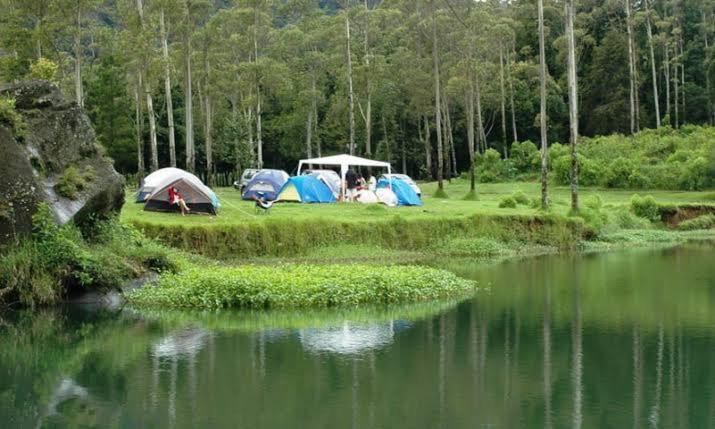 Příroda nedaleko luxury tent