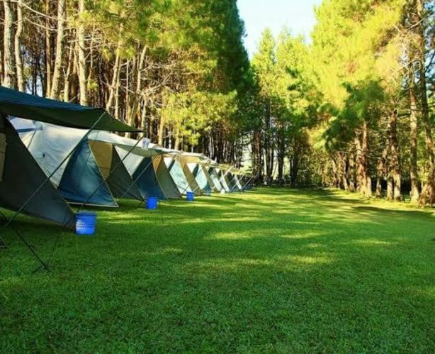 Zahrada ubytování Borneo camp