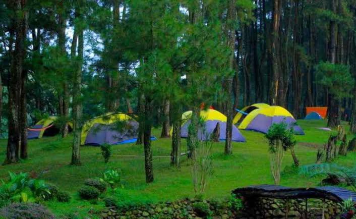 Zahrada ubytování Borneo camp