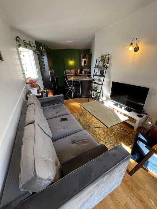 a living room with a couch and a television at Appartement t2 in Vénissieux