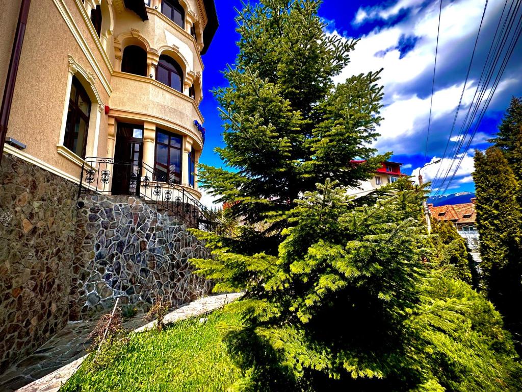 a pine tree in front of a building with a house at Casa Dunarea by Genco in Predeal