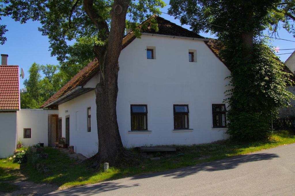 Una casa blanca con un árbol delante. en Chalupa lipovka, 