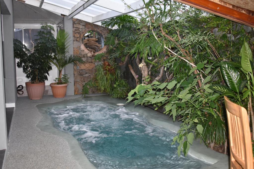 uma banheira de hidromassagem num quarto com plantas em les pieds dans l'eau 4 personnes em Cilaos