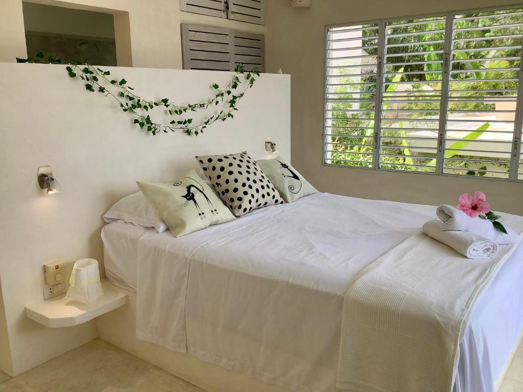 Villa Vertigo, Río San Juan (precios actualizados al 2026)