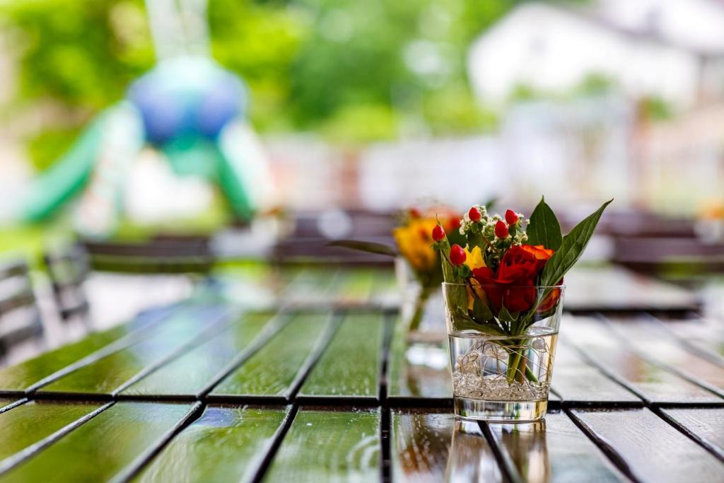 Zahrada ubytování Hotel Bleichibeiz
