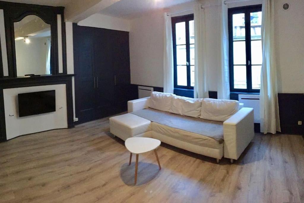un salon avec un canapé et une table dans l'établissement Bel appart au centre-ville proche gare avec wifi., à Auxerre