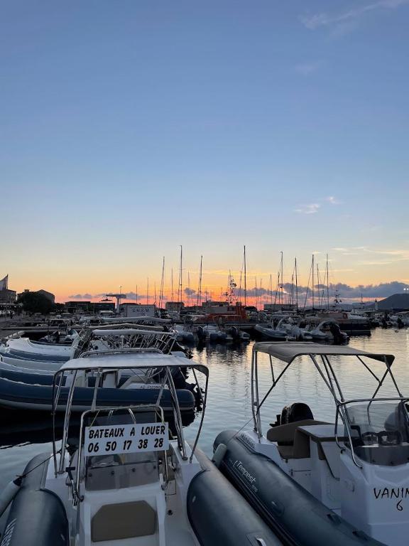 a group of boats docked in a marina at sunset at Duplex en plein centre in Propriano