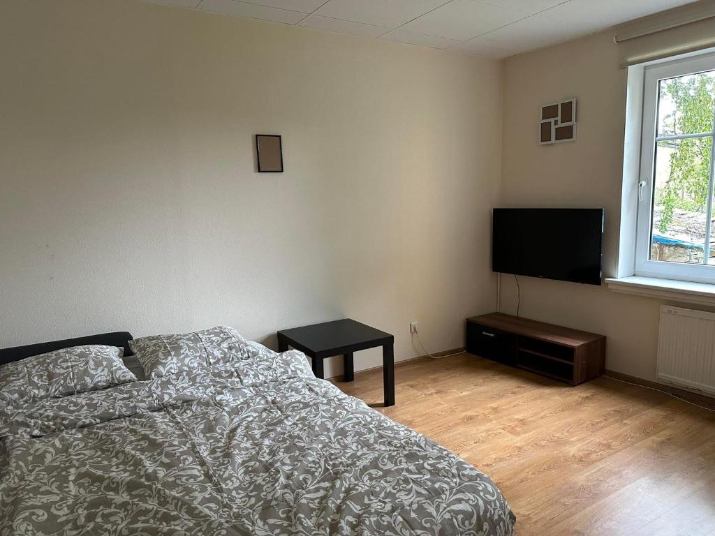 Televizors / izklaižu centrs naktsmītnē Small studio apartment