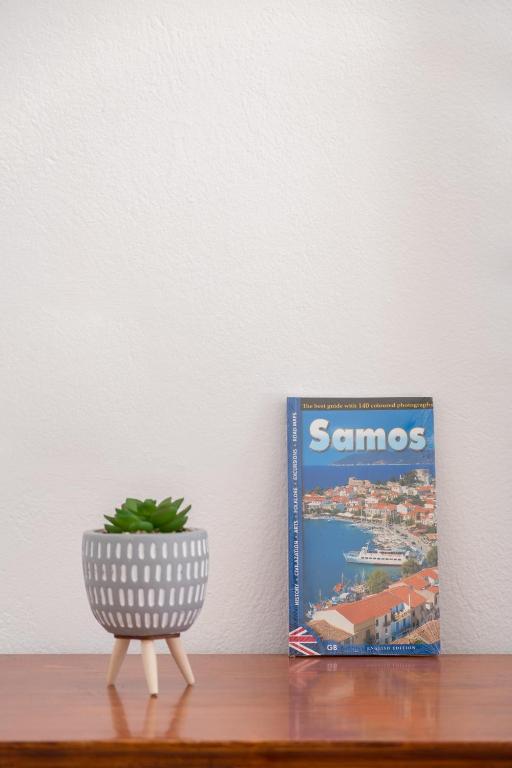 a book and a vase on a table with a plant at Billy's House in Samos