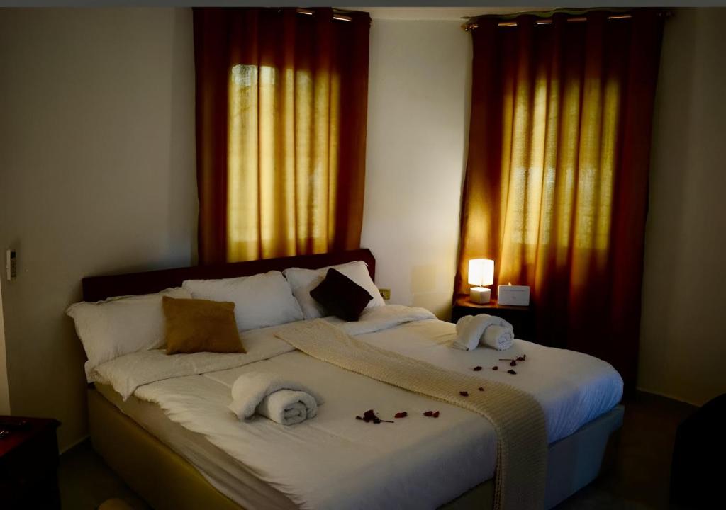 瓦迪穆薩的住宿－Marvel Hostel，一间卧室配有一张大床和毛巾