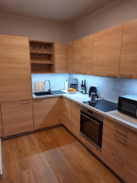 Kuchyň nebo kuchyňský kout v ubytování Apartmán v Javorné na Šumavě