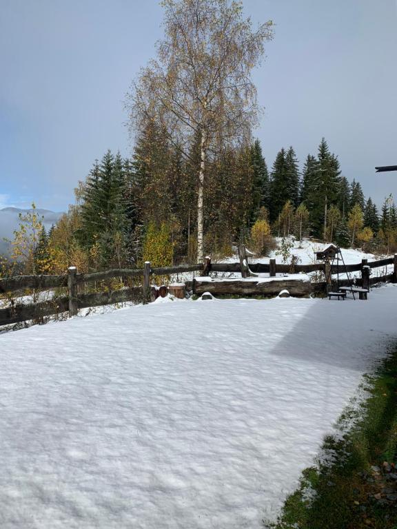 Pichelhütte v zimě