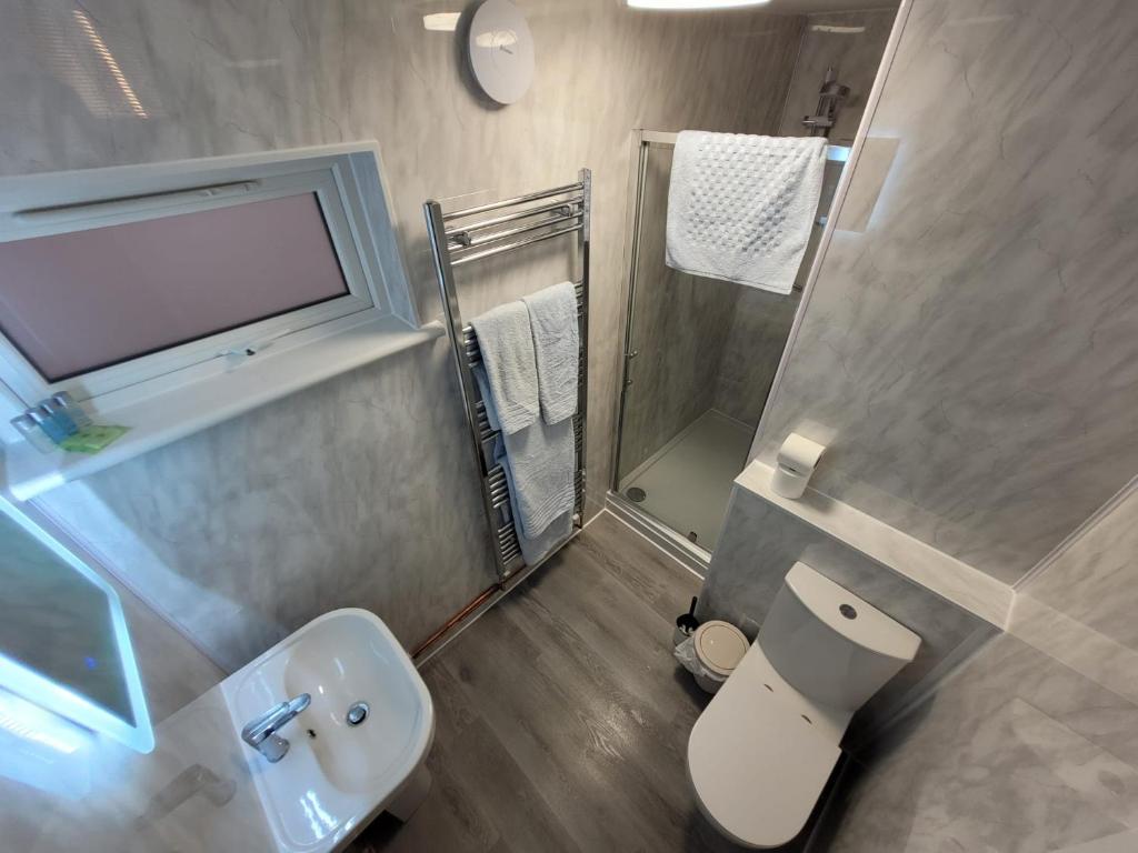 a bathroom with a toilet and a sink and a shower at 39 Queens Road in Swanage