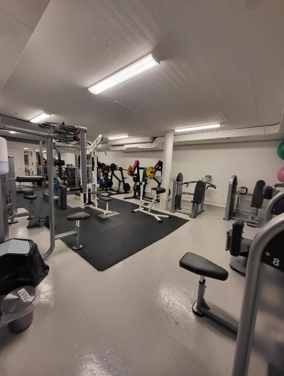 Fitness centrum a/nebo fitness zařízení v ubytování Hotellet i Jörn AB