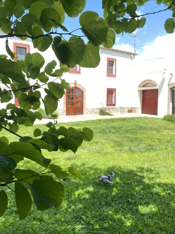 a bird sitting in the grass in front of a house at Masia Can Teulera in San Martín Sarroca