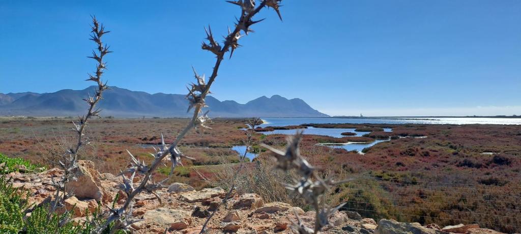 Fotografia z galérie ubytovania Apartamento Toyo, Parque natural cabo de gata v destinácii Almería