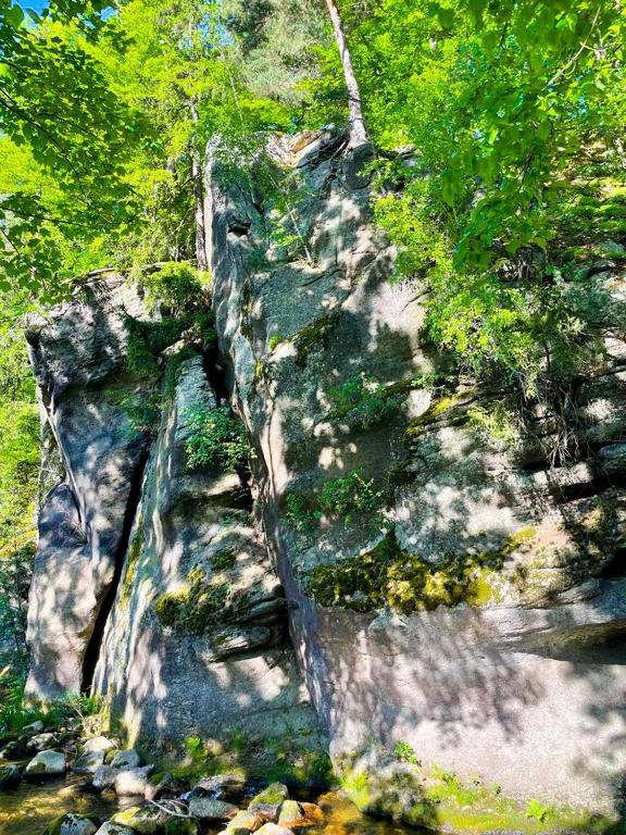 a painting of a rock wall with trees at Domek przy Rozpadlisku in Podgórzyn