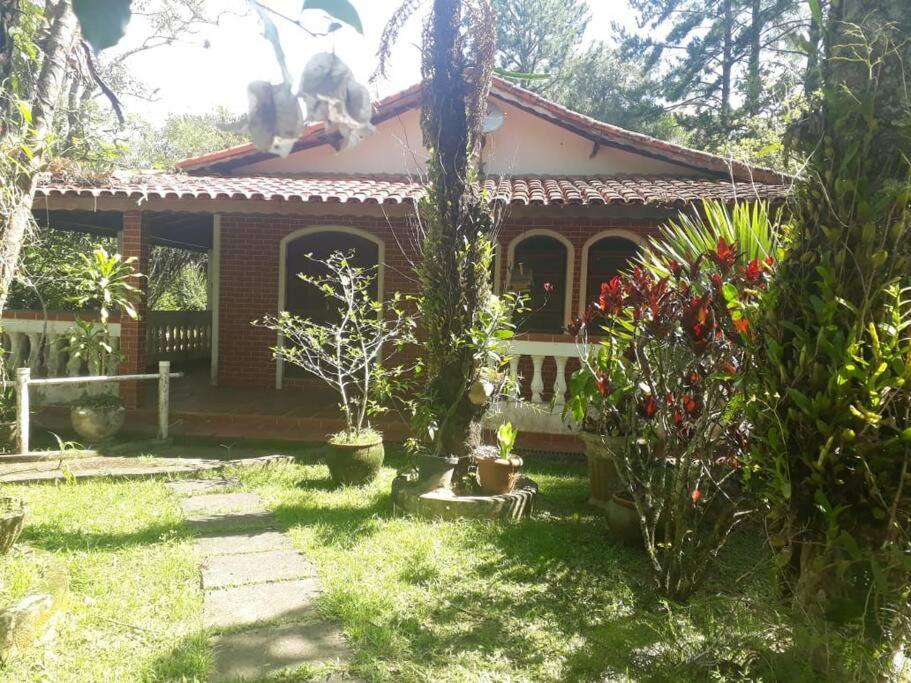 une maison avec beaucoup de plantes devant elle dans l'établissement Sítio Nosso Cantinho, à Mogi das Cruzes