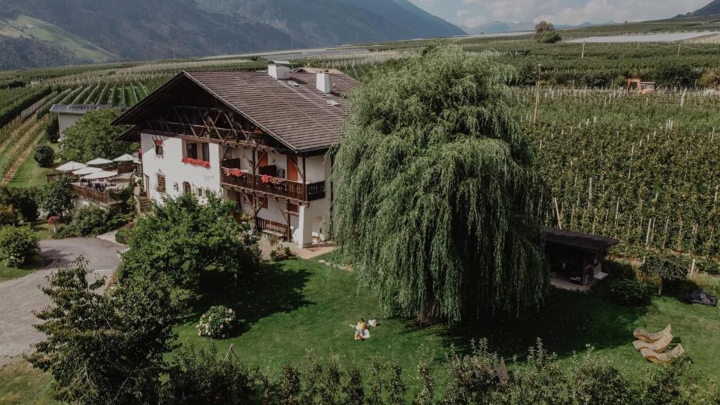 Příroda nedaleko hotelu