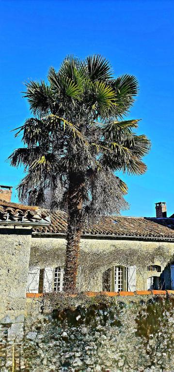 Foto dalla galleria di Hôtel Candide a Saint-Bertrand-de-Comminges