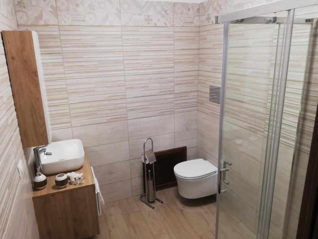 een badkamer met een toilet en een glazen douche bij VILLA VIRGINIA in Piazza Armerina