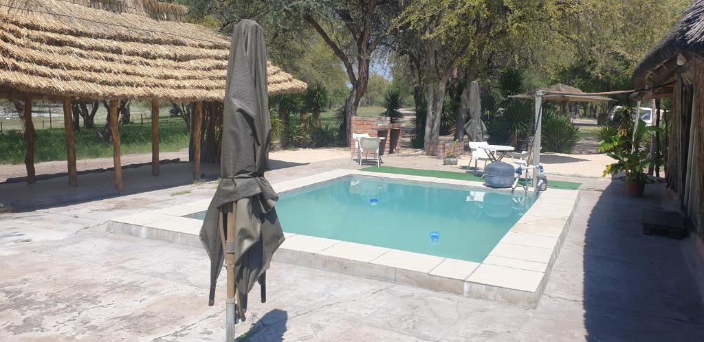 ein großes Schwimmbad mit einer Statue daneben in der Unterkunft Paradise Camp delux Rooms in Groutfontein