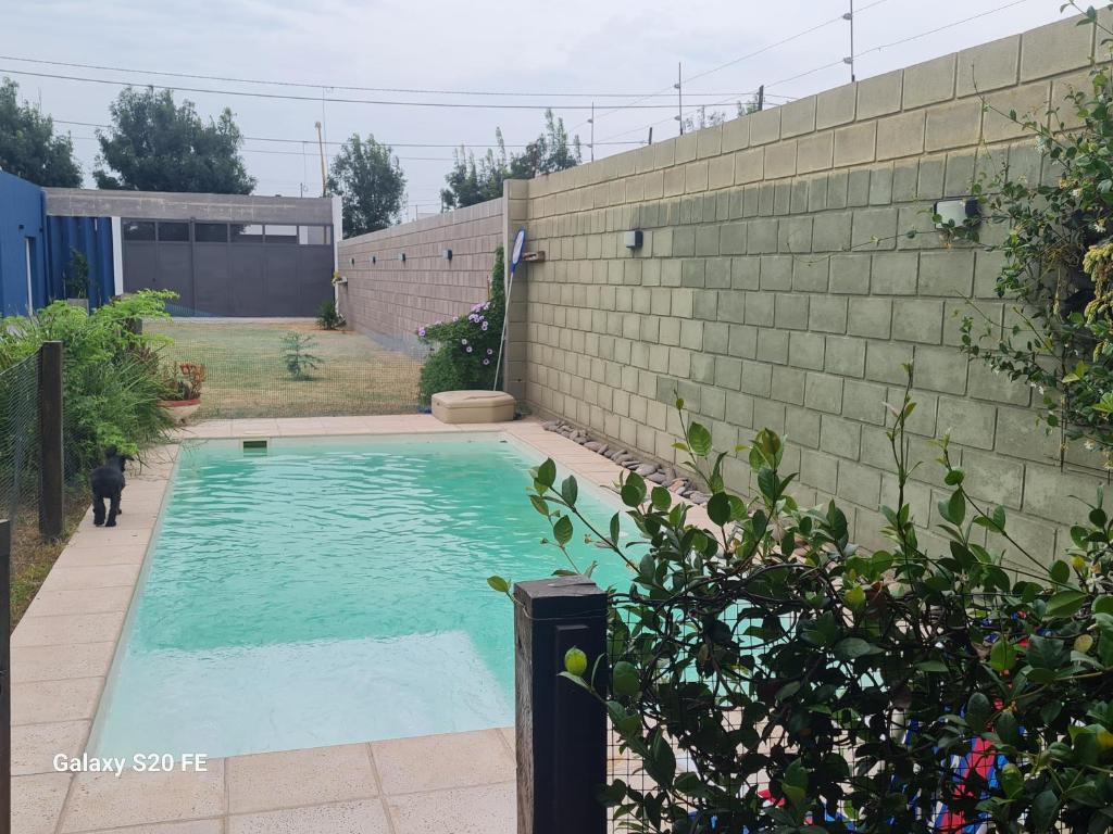 a swimming pool in a backyard with a black cat in it at Loft San Francisco, Cordoba in San Francisco