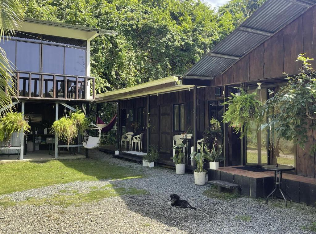 una casa con un gato negro sentado frente a ella en Casa Morpho Uvita Guesthouse, en Uvita