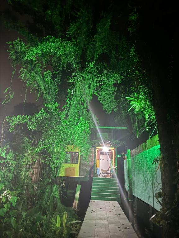 a stairway leading to a door in a building with plants at Casa próxima ao mar, Camburi. in São Sebastião