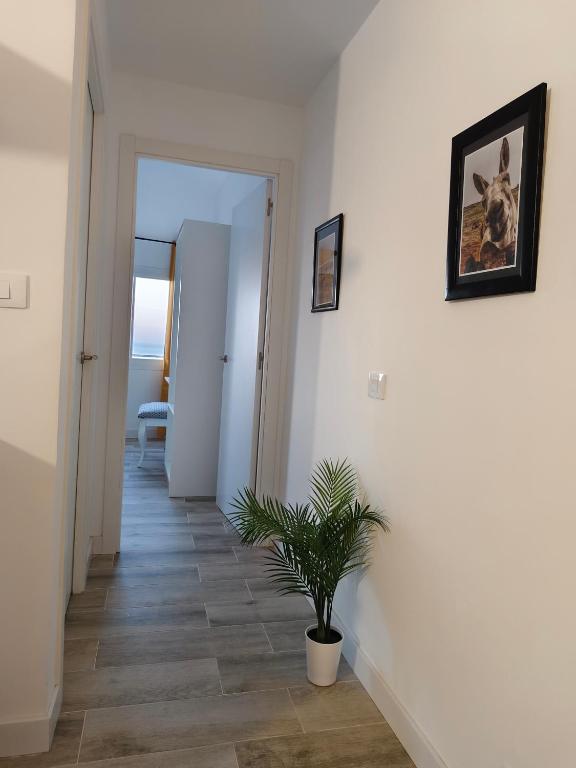 Fotografie z fotogalerie ubytování Hierro v destinaci Frontera
